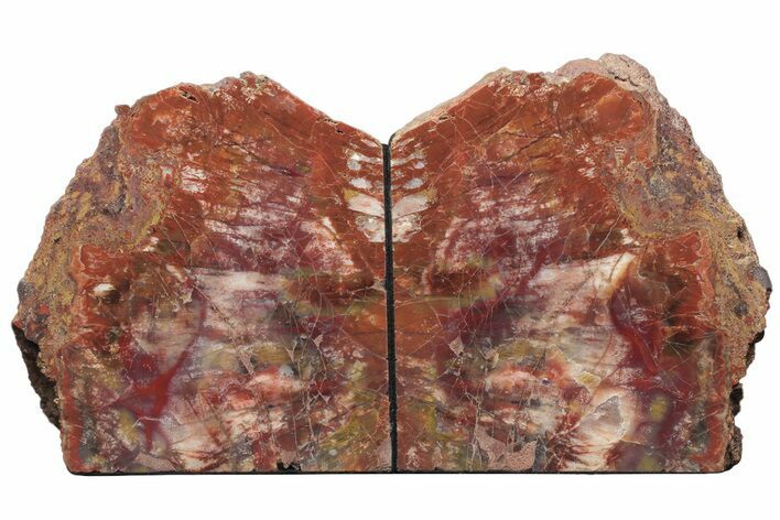 Tall, Arizona Petrified Wood Bookends - Red, Yellow and Purple #210846